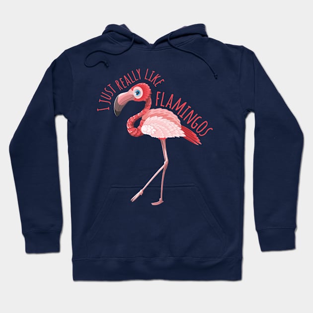 I Just Really like Flamingos - v1.1 Hoodie by code96